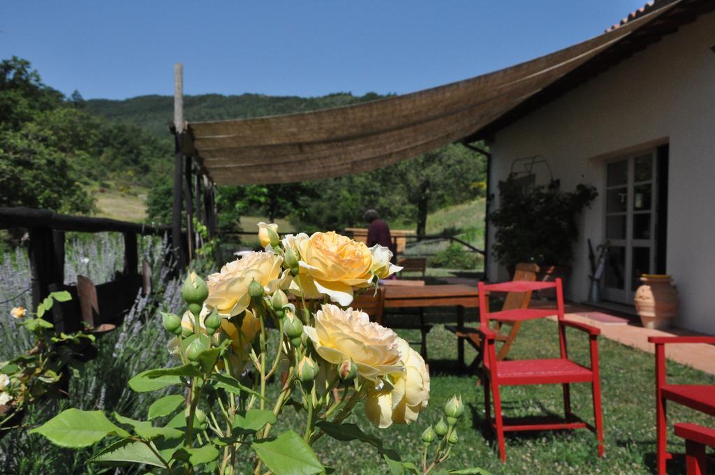 Agriturismo L'Oca Blu Otel Gubbio Dış mekan fotoğraf