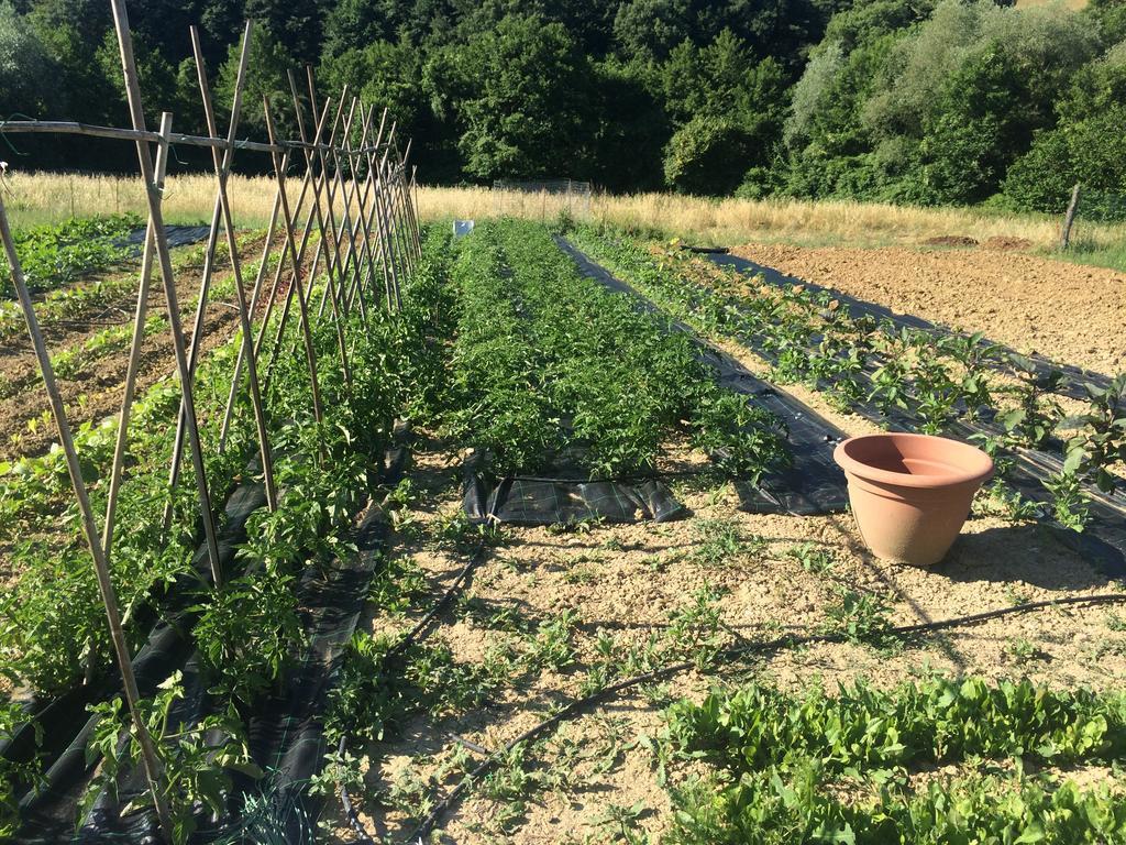 Agriturismo L'Oca Blu Otel Gubbio Dış mekan fotoğraf